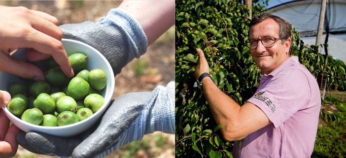 Un contenitore pieno di Nergi e Domenico Paschetta, presidente di Ortofruit Italia Un contenitore pieno di Nergi e Domenico Paschetta, presidente di Ortofruit Italia