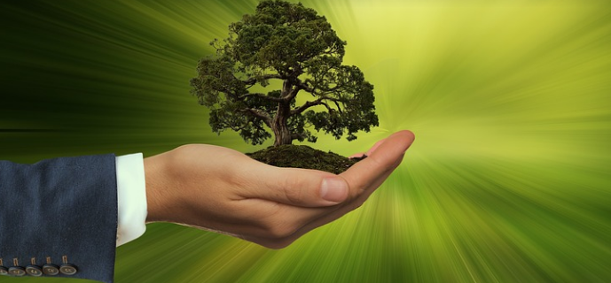 Strumenti di sostenibilità aziendale: quanto sono importanti?