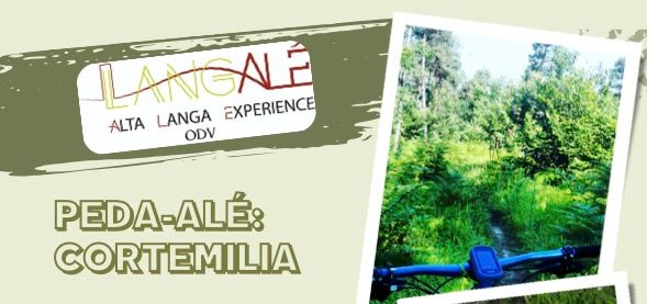 In mountain bike tra i boschi, noccioleti e vigneti di Cortemilia