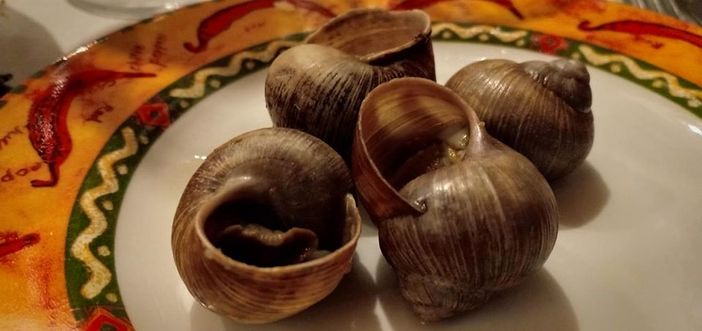 Borgo San Dalmazzo: in attesa della Fiera Fredda la chiocciola incontra il porro, il bue e il cappone