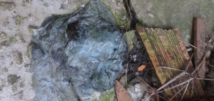 Roccavione, degrado in zona vicolo Trucchetto: la lettera di alcuni residenti Roccavione, degrado in zona vicolo Trucchetto: la lettera di alcuni residenti