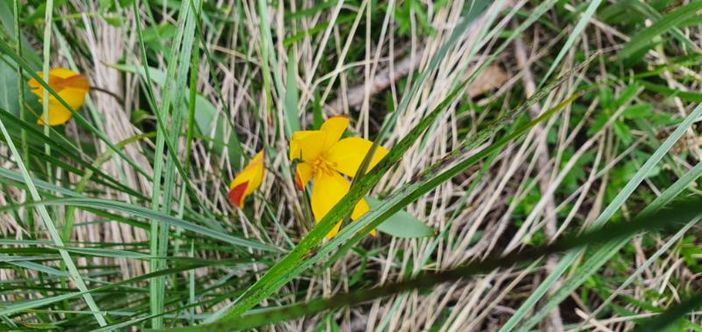Escursione in alta valle Tanaro con merenda sinoira Escursione in alta valle Tanaro con merenda sinoira