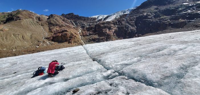 A Valdieri si presentano le “pulci del ghiacciai”