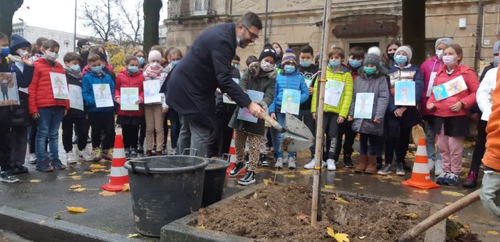 Sauzzo, Festa dell'albero, momenti della messa a dimora di un nuovo acero in via Martiri Sauzzo, Festa dell'albero, momenti della messa a dimora di un nuovo acero in via Martiri
