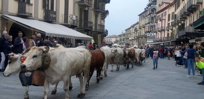 Momenti della Rudunà a Saluzzo Momenti della Rudunà a Saluzzo