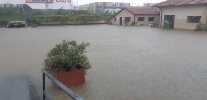 Saluzzo, il Comune organizza una raccolta e smaltimento dei materiali alluvionati Saluzzo, il Comune organizza una raccolta e smaltimento dei materiali alluvionati