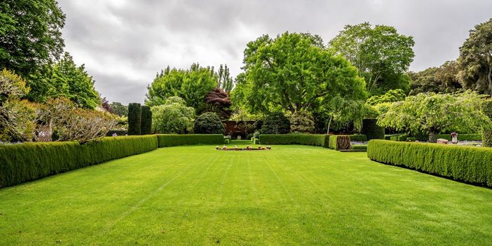 Come curare un giardino trascurato nel tempo? Come curare un giardino trascurato nel tempo?
