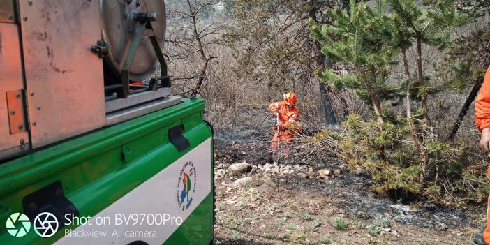 Incendio boschivo in località Forani di Aisone, intervento di vigili del fuoco e AIB