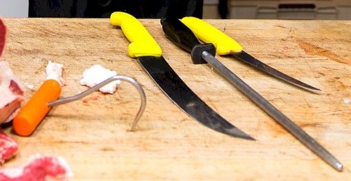 Immagine di repertorio