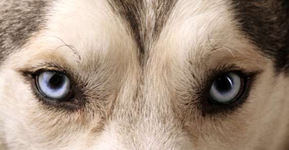 Foto generica Foto generica