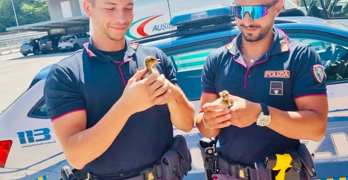 Gli agenti con uno dei piccoli pulcini salvati Gli agenti con uno dei piccoli pulcini salvati