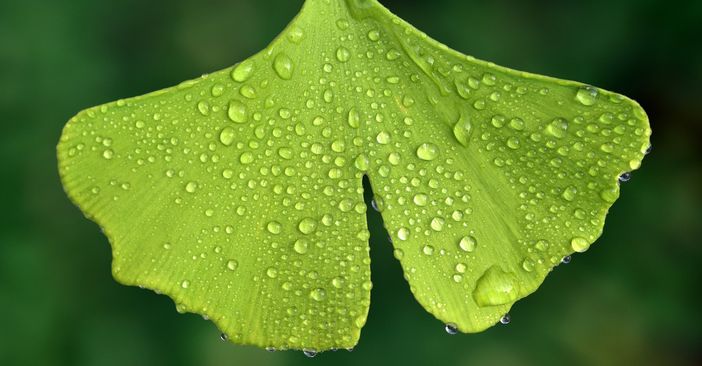 Impianti di condizionamento civili, commerciali e industriali realizzati a regola d'arte