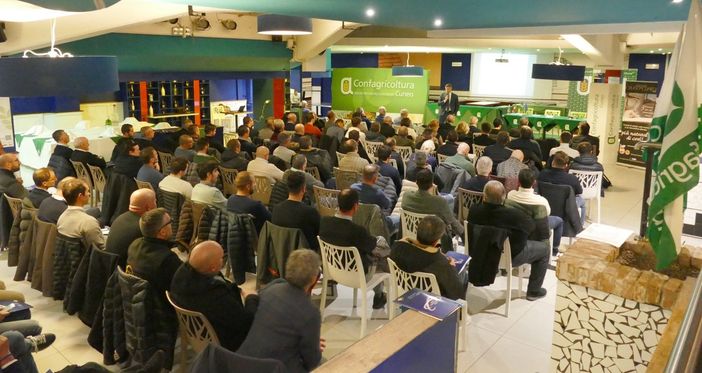 Emergenza PSA, “Alla politica pare non interessare, servono un maggior contenimento dei cinghiali e più risorse”