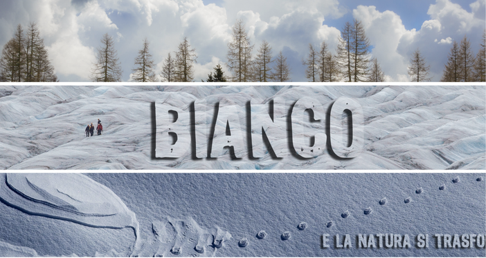 La biblioteca di Farigliano ospita la mostra "BIANCO e la natura si trasforma" di Laura Sartor e Massimo Samaritani La biblioteca di Farigliano ospita la mostra "BIANCO e la natura si trasforma" di Laura Sartor e Massimo Samaritani