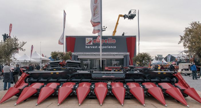 Le strade per aumentare la produttività del mais