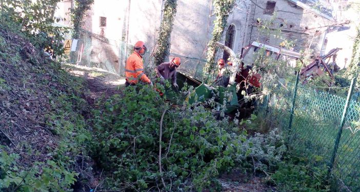Frabosa Soprana: sistemata dalla squadra Valli Monregalesi della Regione la pineta di San Carlo