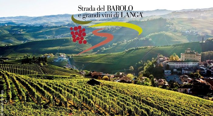 La Strada del Barolo punta sui giovani: 35 anni l’età media del nuovo Consiglio di Amministrazione