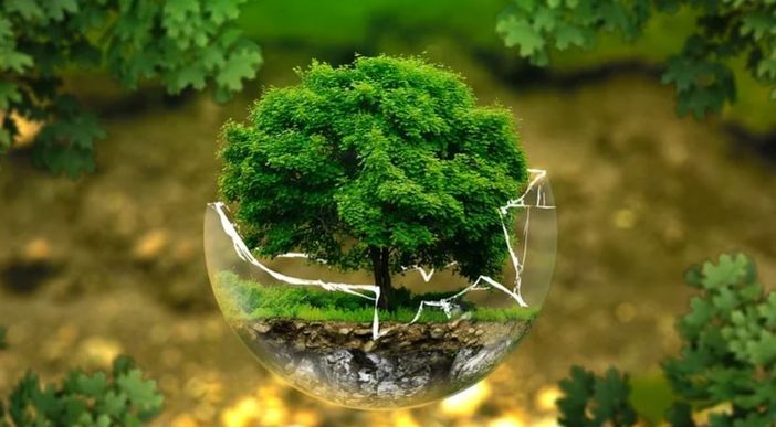 Immagine di repertorio