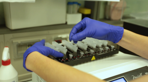 Ceresole d'Alba: 13 casi positivi al Covid-19 Ceresole d'Alba: 13 casi positivi al Covid-19