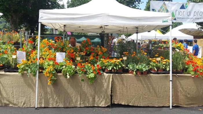 Vicoforte: la seconda edizione di "Florete Flores" si farà