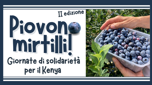 A Cuneo piovono mirtilli: raccolta solidale a sostegno della LVIA
