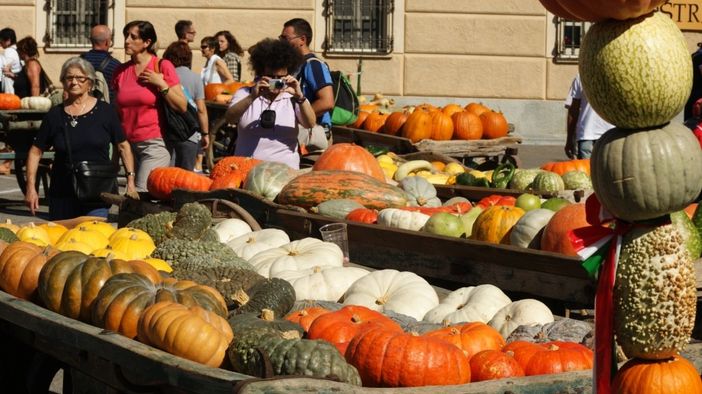 Le zucche tornano di scena a Piozzo: domenica 24 aprile la distribuzione dei semi Le zucche tornano di scena a Piozzo: domenica 24 aprile la distribuzione dei semi