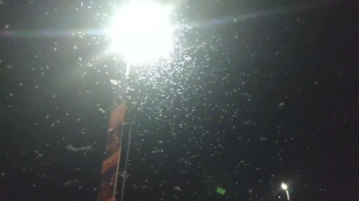 Immagine di repertorio Immagine di repertorio