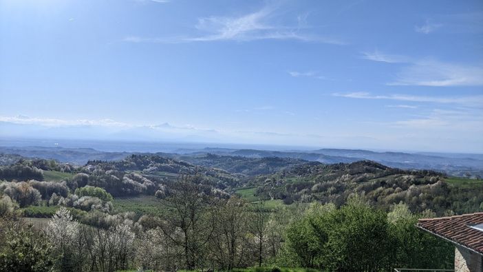 Cissone si trasforma: da oggi al via il Summer Camp tra smart working, natura e innovazione