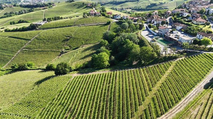 Castiglione Falletto investe sulla biodiversità: i prati di San Lorenzo come spazio vivo tra natura e comunità