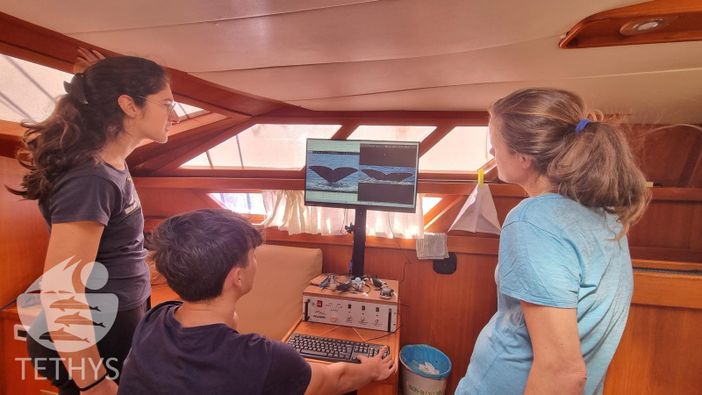 "Underwater": il progetto di Wild Life Protection unisce le Langhe al Mediterraneo