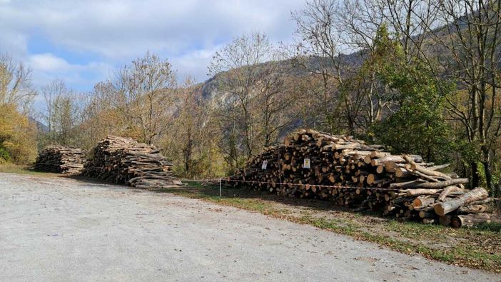 Valdieri mette in vendita quattro lotti di legname: offerte entro il 3 novembre