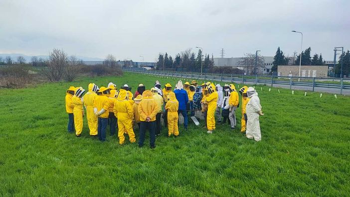 Aspromiele apre le porte dell'apicoltura: corso gratuito per imparare ad allevare le api