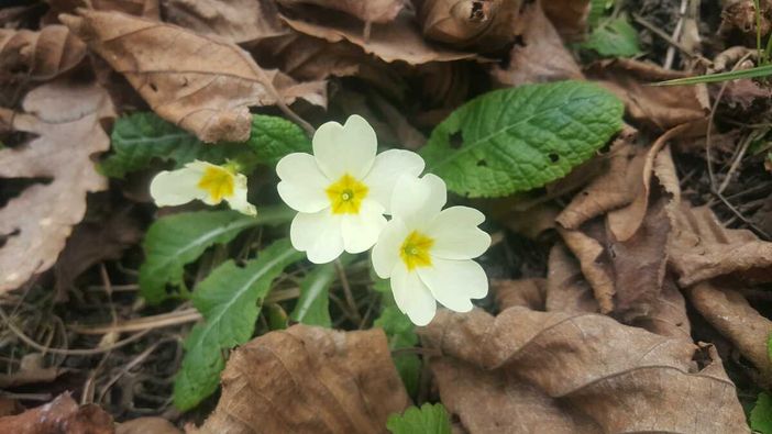 Immagine di repertorio