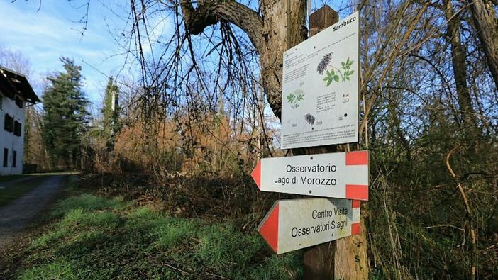 La Riserva Crava Morozzo riprende le attività con “Disconnettersi per riconnettersi”