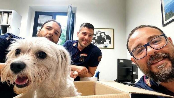 Recuperata in un canale dopo dieci giorni di ricerche, ora Chanel è al sicuro Recuperata in un canale dopo dieci giorni di ricerche, ora Chanel è al sicuro