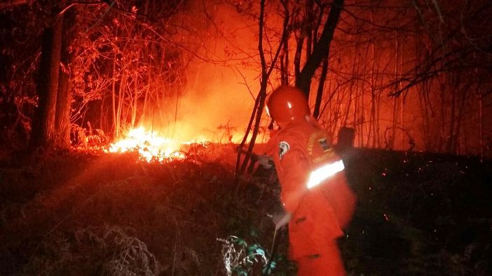 Immagine di repertorio