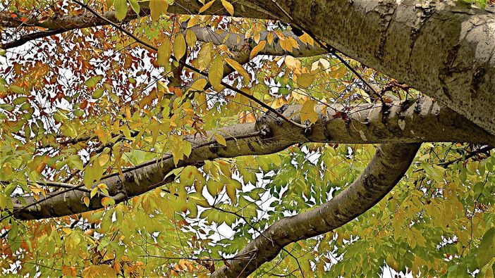 Immagine di repertorio