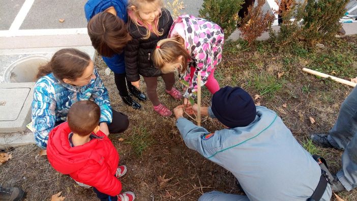 Ceva: un successo la Festa dell'Albero 2017