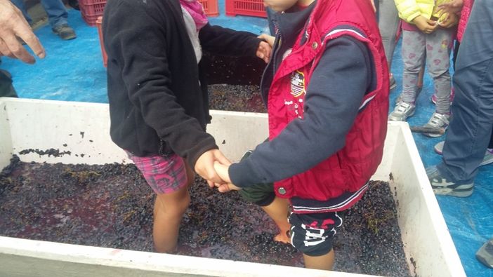 Dronero: vendemmia cantata e ballata con gli alunni di Piazza Marconi e Pratavecchia Dronero: vendemmia cantata e ballata con gli alunni di Piazza Marconi e Pratavecchia