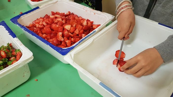 Festa degli orti in condotta: quest’anno si festeggia a tavola con i bambini