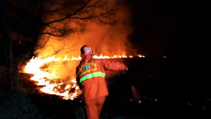 Immagine di repertorio