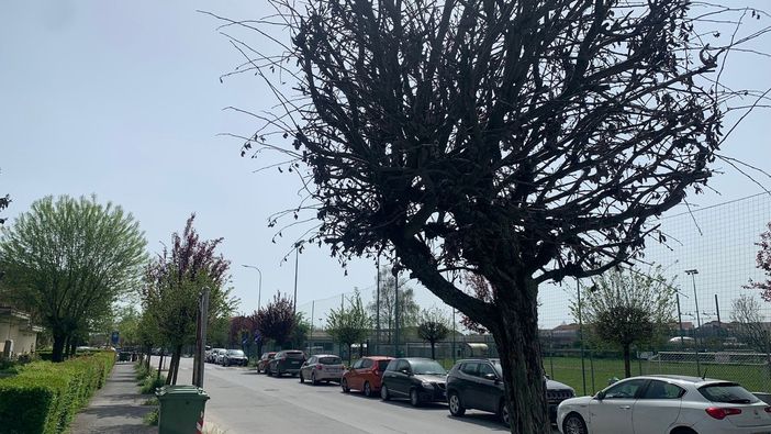 Via Galimberti a Savigliano Via Galimberti a Savigliano