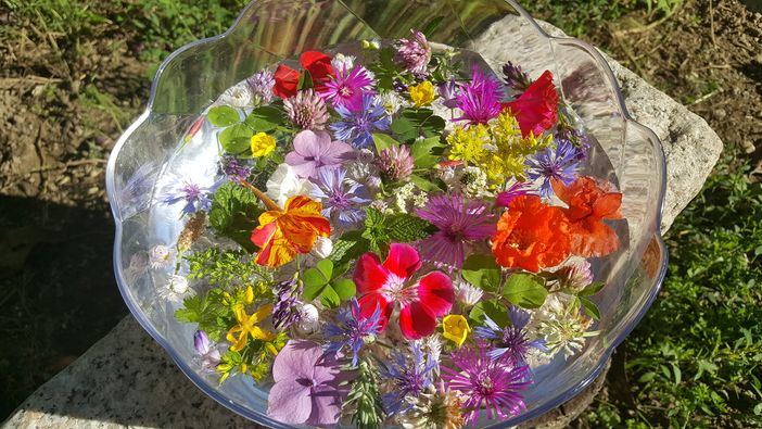 La leggenda dell’acqua di San Giovanni: ecco come e quando prepararla La leggenda dell’acqua di San Giovanni: ecco come e quando prepararla