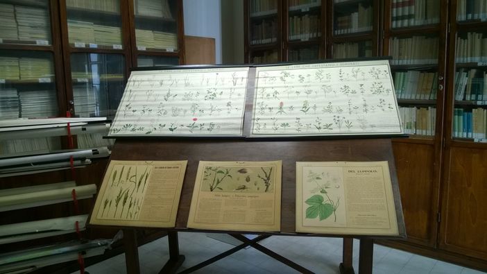 Cuneo: aula di Scienze Agrarie dell’Istituto di Istruzione Superiore “Virginio - Donadio” intitolata al Professor Bernardino Ascheri