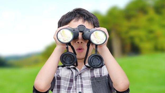 Cuneo: pomeriggio di "Birdwatching facile" per i bambini