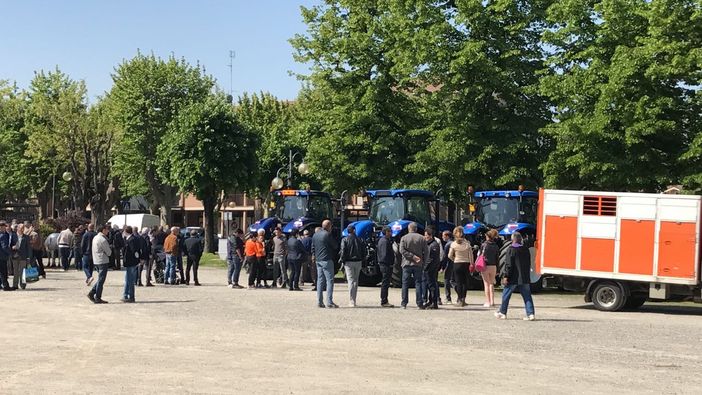 La Festa Patronale del Cristo Risorto con concerto, fiera zootecnica e processione