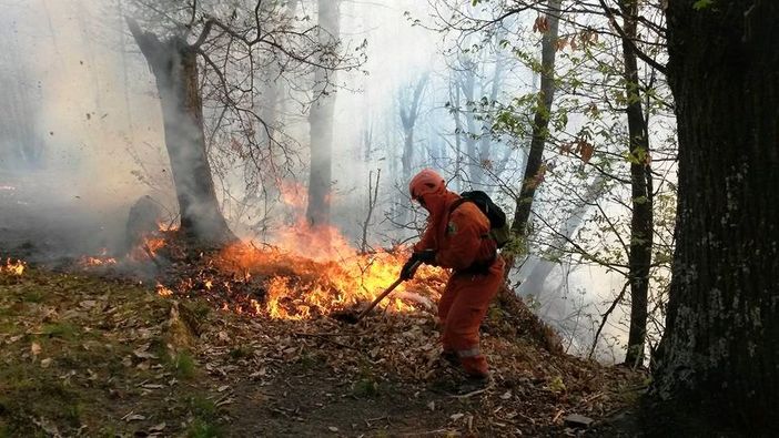 Roburent, il fuoco ha distrutto 5 ettari di bosco