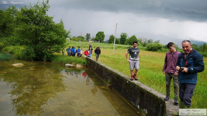 Ceva: al cinema "Borsi" un convegno sulla risorsa acqua Ceva: al cinema "Borsi" un convegno sulla risorsa acqua