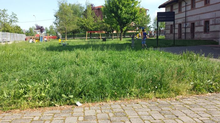 Immagine di repertorio Immagine di repertorio