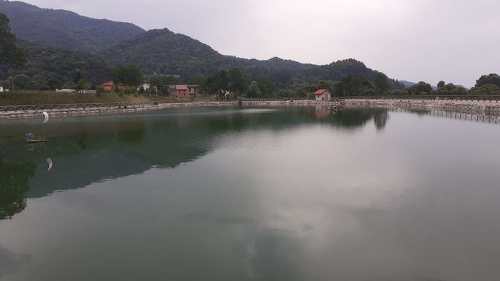 Invasi in provincia di Cuneo: "Non siano solo oggetto di propaganda, ma anche di programmazione"